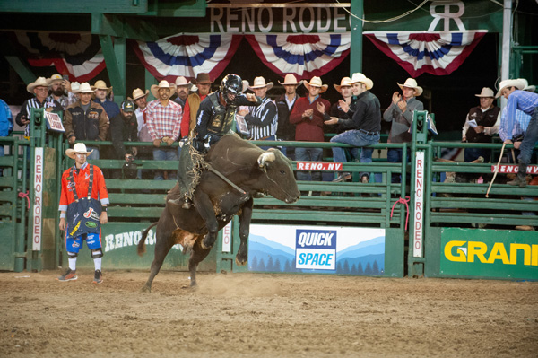 Reno Rodeo Bull Ridding 1